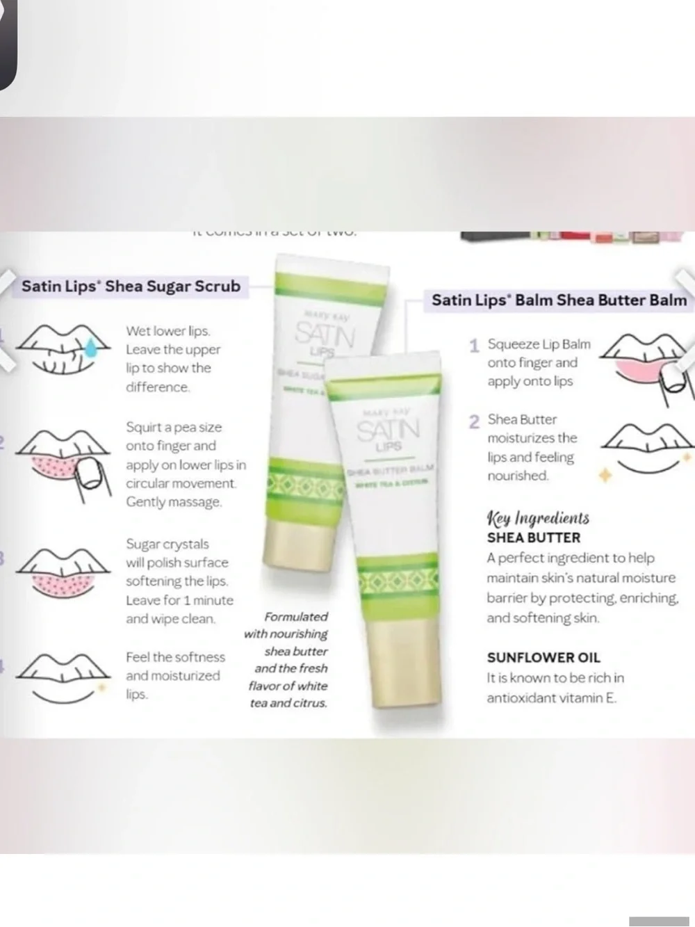 Mary Kay Satin Shea Butter Balm and Lip Scrub Set $39
